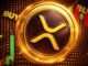 XRP USD Funding Rates Turn Deeply Bearish After 70% Price Drop