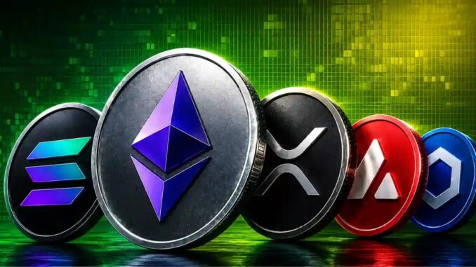 top Altcoin Insights for August and Beyond
