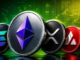 top Altcoin Insights for August and Beyond