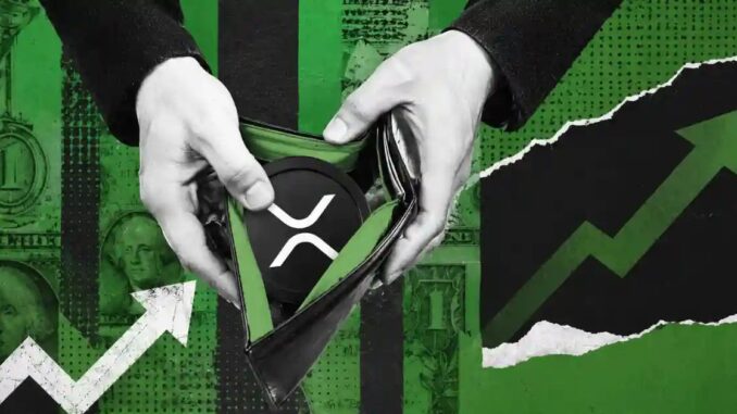 44,896 XRP Is Enough for the Top 1% of Holders