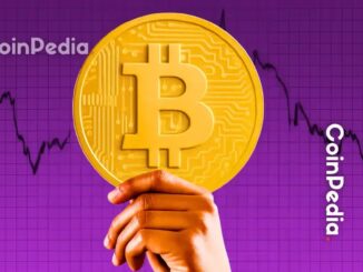 Analyzing the Recent Price Decline