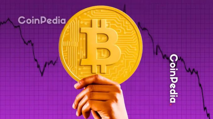 Analyzing the Recent Price Decline