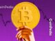 Analyzing the Recent Price Decline