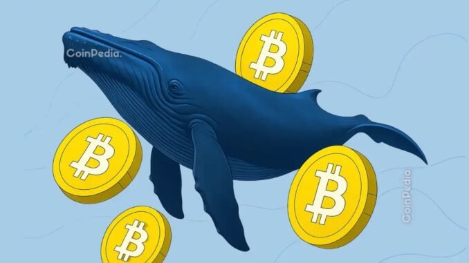 Bitcoin Price Faces a Familiar Trap as Whales Start Selling