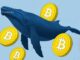 Bitcoin Price Faces a Familiar Trap as Whales Start Selling