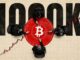 Bitcoin Recovery and Future Predictions