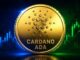Cardano Price Surges 6%—Can Whale Accumulation Push ADA to $0.30?