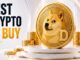 Dogecoin Cracks Open DeFi as Early Pepeto Buyers Eye the Next 100x