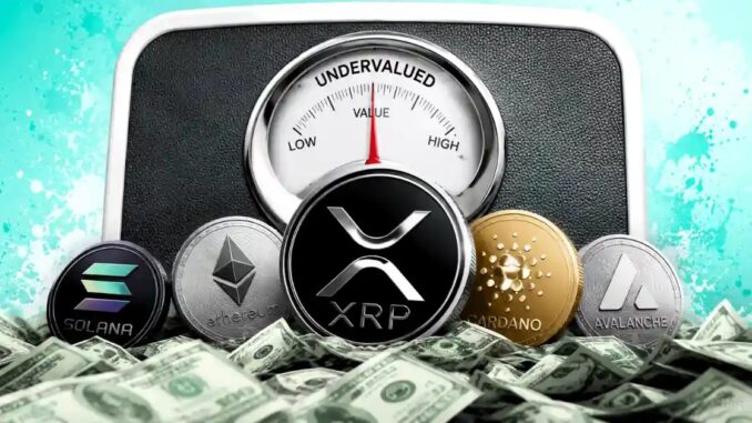 Top Altcoins to Watch for Future Growth and Innovation
