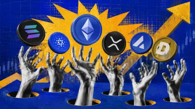 Top Altcoins to Watch in the Current Market