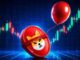Why Is SHIB Price Up Today?