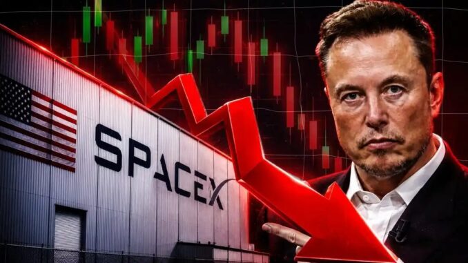 Why Is SpaceX Stock Crashing Today?