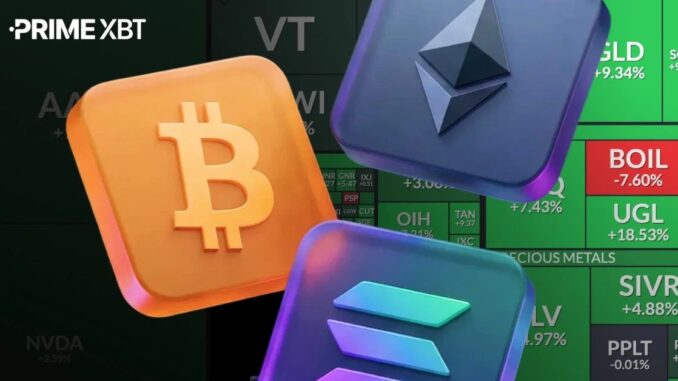 How PrimeXBT Supports Every Stage of the Crypto Trader Journey