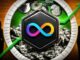 ICP Price Faces Key $2.48 Test as UNDP-DFINITY Partnership Drives Network Activity