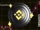 Could Hack Fallout Push BNB Toward $600?