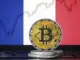 Francúzsko Bitcoin národná rezerva 2 % BTC