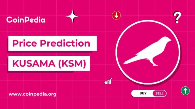 Is KSM a Good Investment?