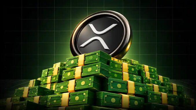 Is a Recovery Taking Shape?