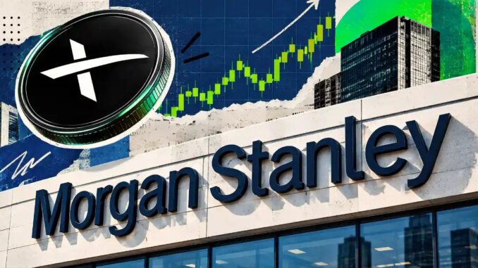 Morgan Stanley’s Sees $300 Target