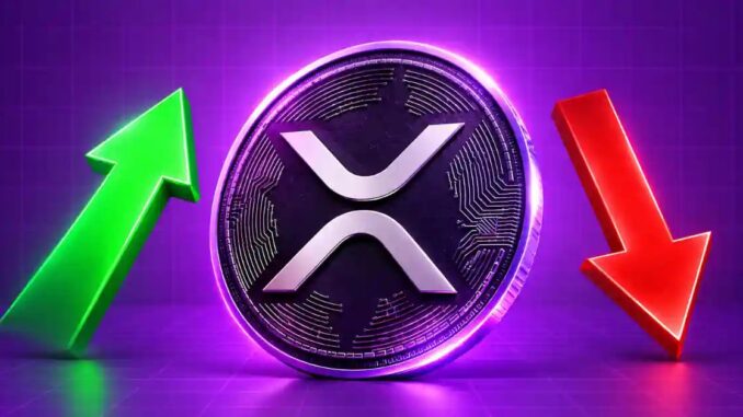 NewGenIvf Sold Entire XRP Holdings Before Year-End, SEC Filing Shows
