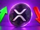 NewGenIvf Sold Entire XRP Holdings Before Year-End, SEC Filing Shows