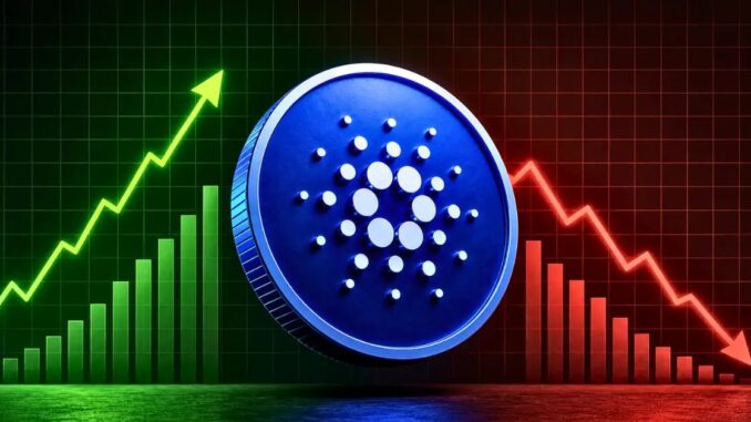 Next ADA Buy Zone Revealed