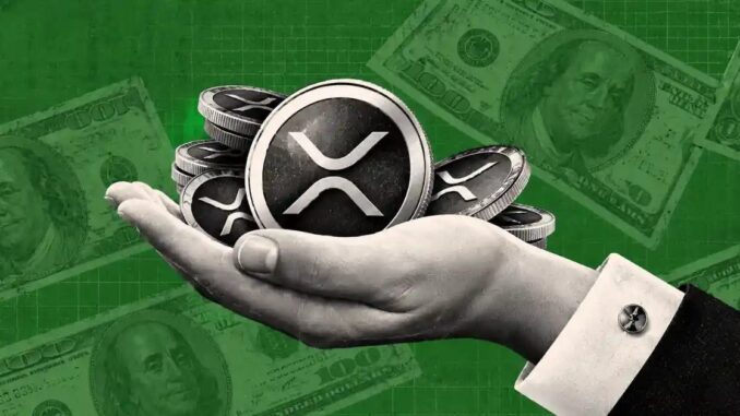 XRP Shows Bottoming Signals as On-Chain Activity Rises Ahead of XRPL Upgrade